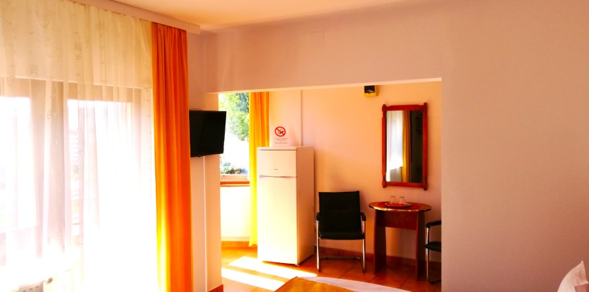 Poza Studio Pensiune Cazare Sinaia