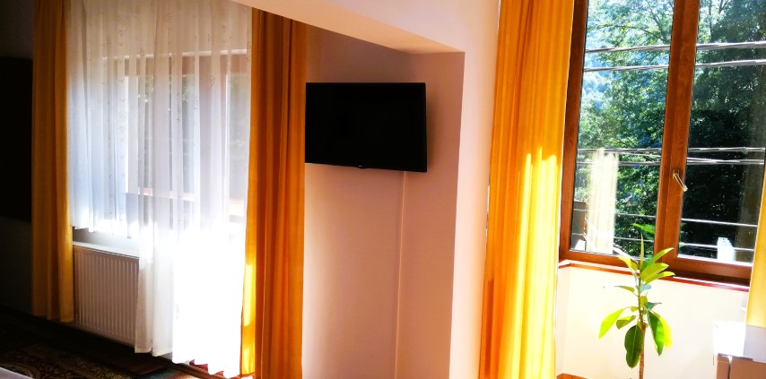 Poza Studio Pensiune Cazare Sinaia